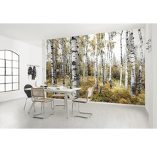 Lichte kamer met fotobehang met een berkenbos