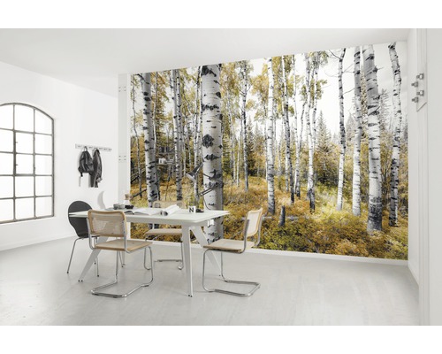 Lichte kamer met fotobehang met een berkenbos
