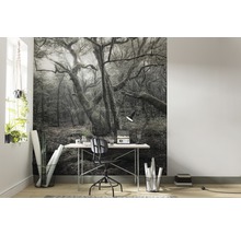 Scene met een fotobehang met bosmotief achter een bureau