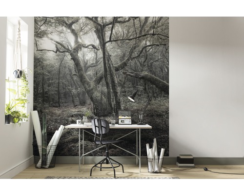 Scene met een fotobehang met bosmotief achter een bureau
