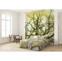 Slaapkamer met fotobehang met boommotief, bed en houten stoel