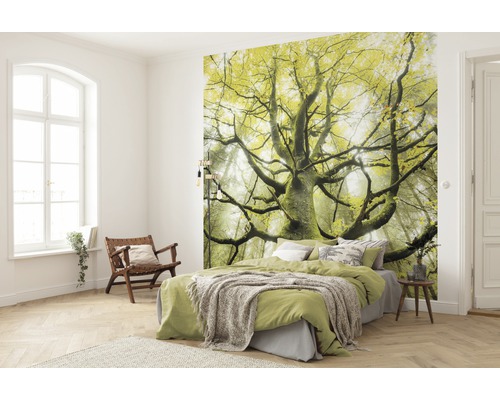 Slaapkamer met fotobehang met boommotief, bed en houten stoel