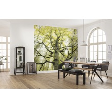 Eetkamer met fotobehang van een boom in het bos, eettafel met stoelen en bank, en een vitrinekast.
