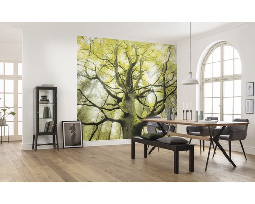 KOMAR Fotobehang vlies SHX9-020 Wanderlust - Stefan Hefele The Dream Tree 450x280 cm Eetkamer met fotobehang van een boom in het bos, eettafel met stoelen en bank, en een vitrinekast.