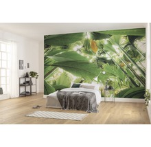 Lichte slaapkamer met fotobehang met jungle thema