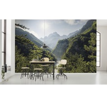 Woonkamer met foto van een beboste bergvallei, eettafel en stoelen