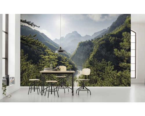 Woonkamer met foto van een beboste bergvallei, eettafel en stoelen