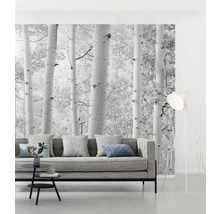 Woonkamer met fotobehang berkenbos, bank, vloerlamp en tafel