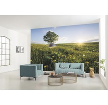 Woonkamer met fotobehang van een weide met boom