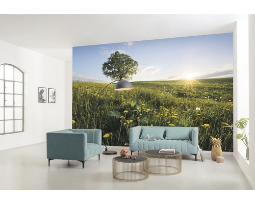 Woonkamer met fotobehang van een weide met boom