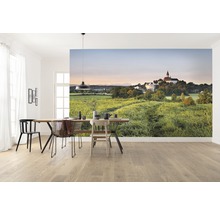 Lichte eetkamer met fotobehang dat een groen landschap en een gebouw voorstelt.