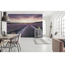 Lichte woonkamer met muurschildering van een lavendelveld bij zonsondergang, eettafel en bank