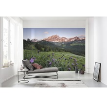 Woonkamer met foto van berglandschap en bloemenveld