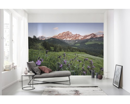 Woonkamer met foto van berglandschap en bloemenveld