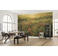 Eetkamer met eettafel, stoelen, zitbank en fotobehang met klaprozenveld