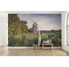 Wandafbeelding met een windmolen, schapen en weelderig groen in een lichte kamer.