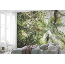 Kamer met fotobehang dat een dicht oerwoud voorstelt