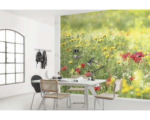 KOMAR Fotobehang vlies SHX9-094 Wanderlust - Stefan Hefele Meadow Magic II 450x280 cm Woonkamer met fotobehang dat een bloemenweide laat zien