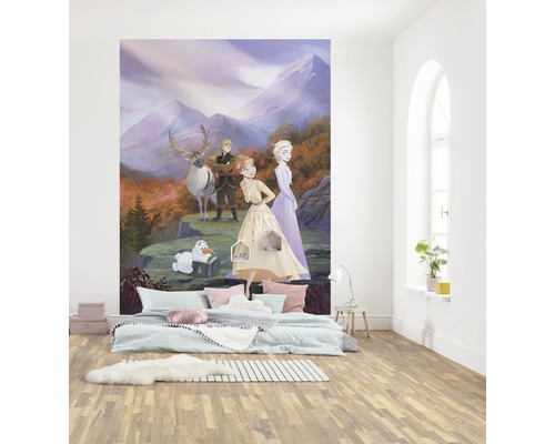 Kamer met fotobehang met Frozen-motief