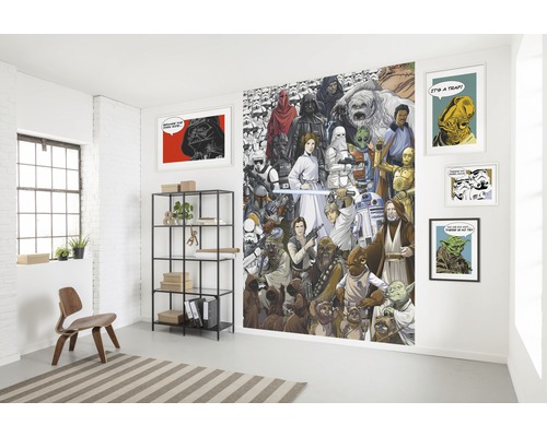 Kamer met Star Wars muurschildering, rekken en decoratieve artikelen