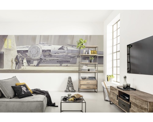Woonkamer met bank, plank, mediameubel en Star Wars muurschildering