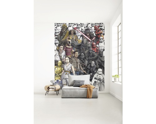Woonkamer met Star Wars fotobehang en grijze bank