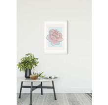 KOMAR Poster Cinderella Rose 30x40 cm