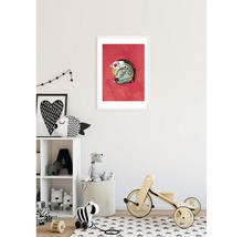 KOMAR Poster Star Wars Classic Helmets Rebel Pilot 30x40 cm