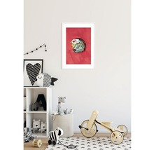 KOMAR Poster Star Wars Classic Helmets Rebel Pilot 50x70 cm