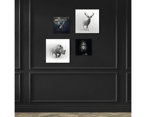 Vier dierenafbeeldingen hangen aan de muur en tonen een hert in het bos, een hert in de mist, een neushoorn en een gorilla.