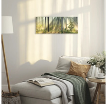 Wanddecoratie met bosmotief in een woonkamer.