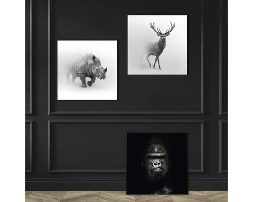 Decoratieve muurafbeeldingen met dierenmotieven: neushoorn, hert en gorilla