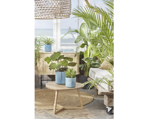 Lichte, vriendelijke kamer met planten, bijzettafel en houten meubels voor een natuurlijke woonsfeer.