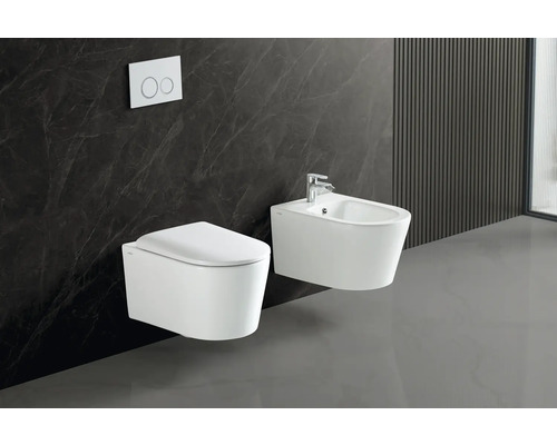 Wandhangend toilet en bidet met spoelknop in moderne badkamer