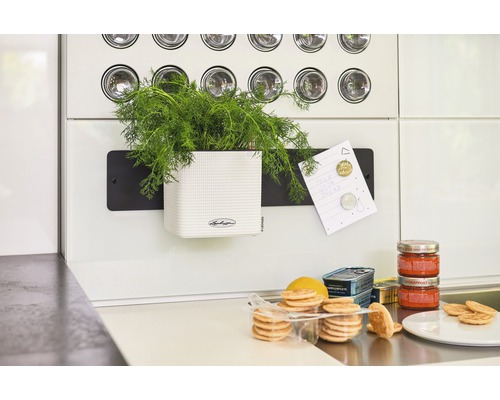 Keuken met kruidenpot, notitie, boodschappen en Lechuza logo