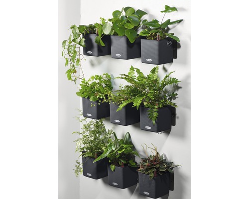 Wand met modulaire plantenbakken met verschillende kamerplanten