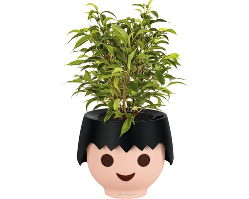 Kamerplant in een bloempot met gezicht