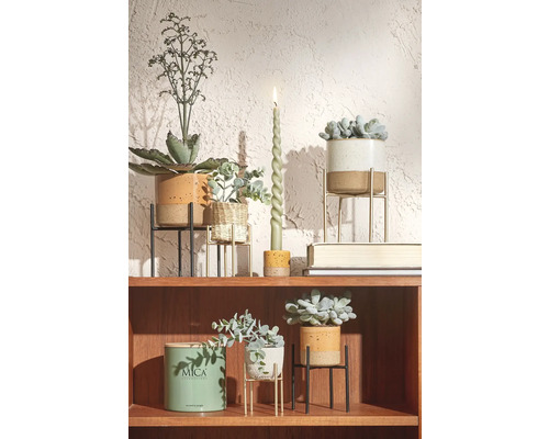 Decoratieve plank met planten, kaars en Mica Decorations geurkaars