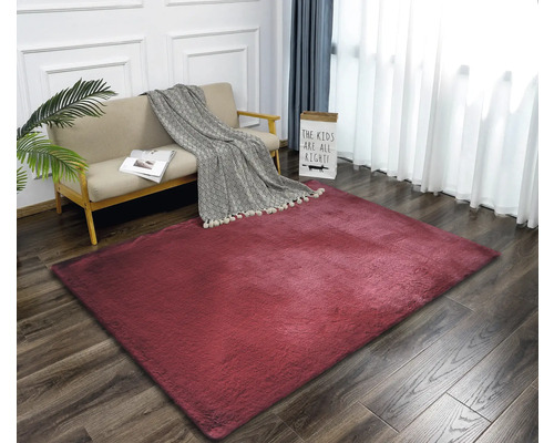 Woonkamer met bank en rood vloerkleed op houten vloer