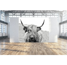 Interieur met een groot formaat zwart-wit fotobehang van een Schotse hooglander