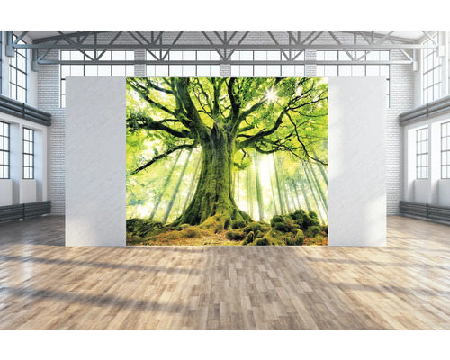 SPECIAL DECORATION Wanddoek Oerboom 300x250 cm