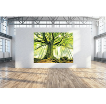 Wanddecoratie met boom in bosmotief in een lichte ruimte