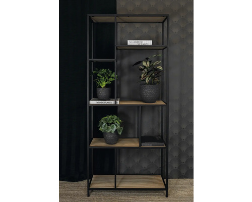 Decoratieve boekenkast met planten en boeken in de woonkamer