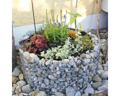 Gabionen bloembed met verschillende planten en stenen