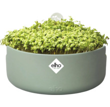 ELHO Magic microgreens kweekbak groen Ø 17 cm H 7 cm