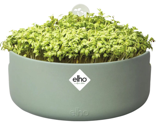 Kresschaal met tuinkers en Elho logo