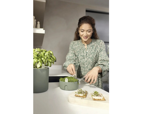 Vrouw knipt kruiden uit een kruidentuin in de keuken