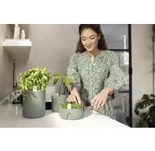 ELHO Magic microgreens kweekbak groen Ø 17 cm H 7 cm