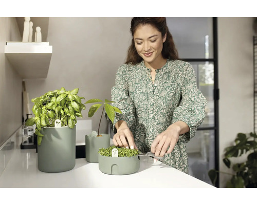 Vrouw knipt kruiden in een kruidenpot op een aanrecht.