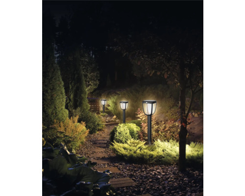 Verlicht tuinpad met solar buitenlampen